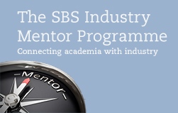 The SBS Industry Mentor Programme, illustration