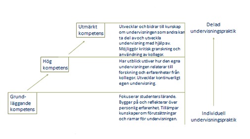 Illustration: Klara Bolander Laksov, professor i högskolepedagogik